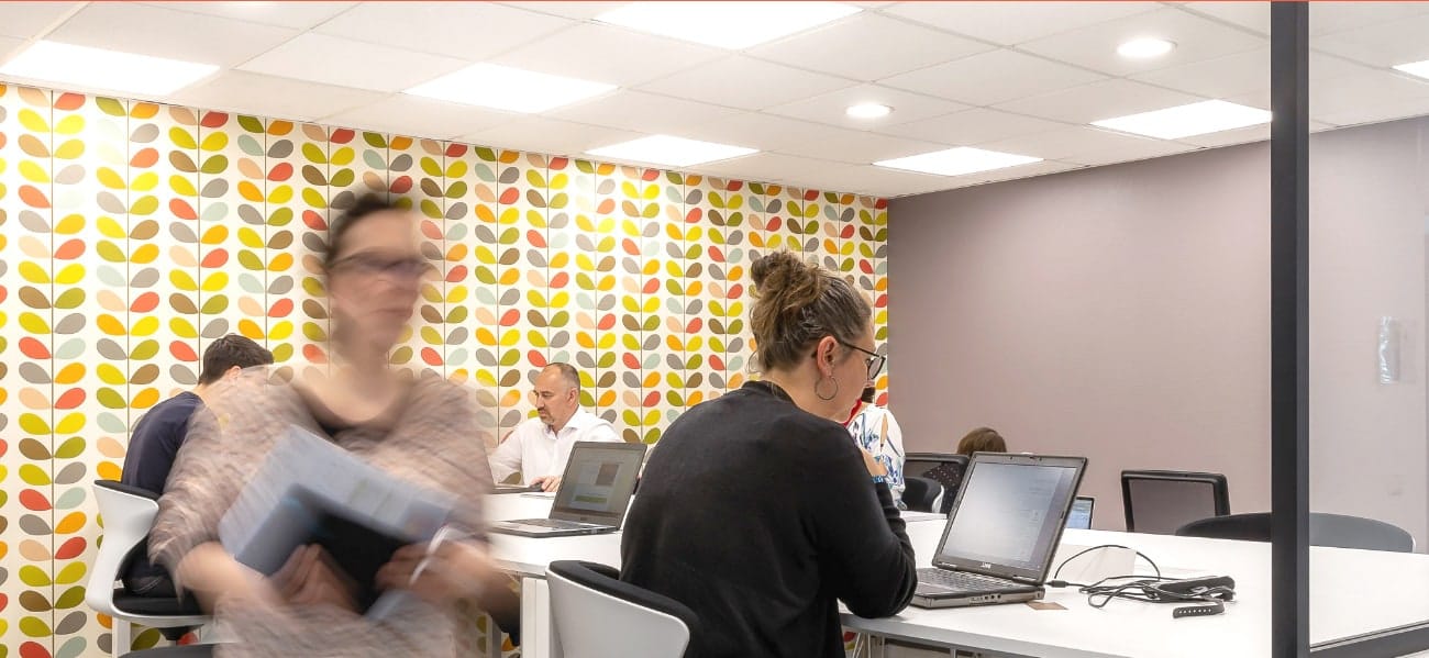 Filéo Groupe, découvrez nos services pour l'entreprise